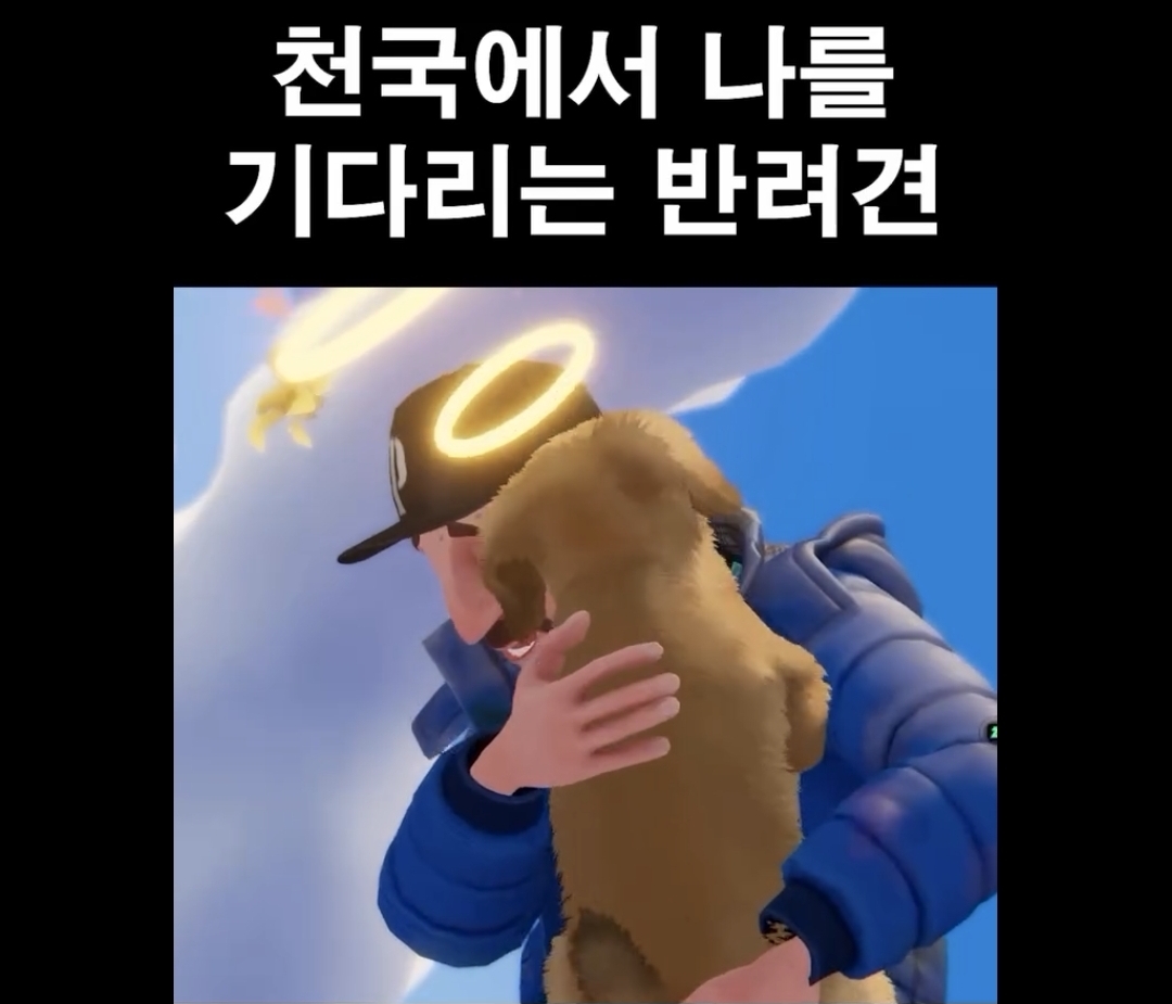 천국에서 나를 기다리는 반려견 | 인스티즈