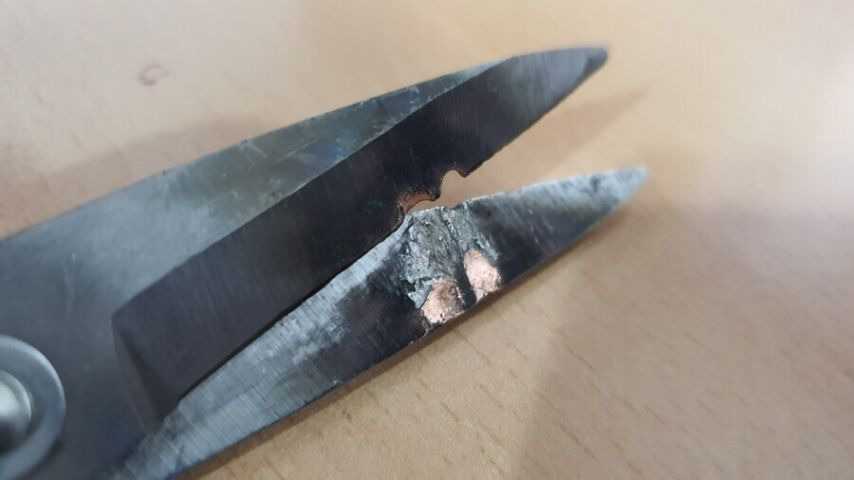 전기선 자르다가 죽을뻔한 사람 | 인스티즈
