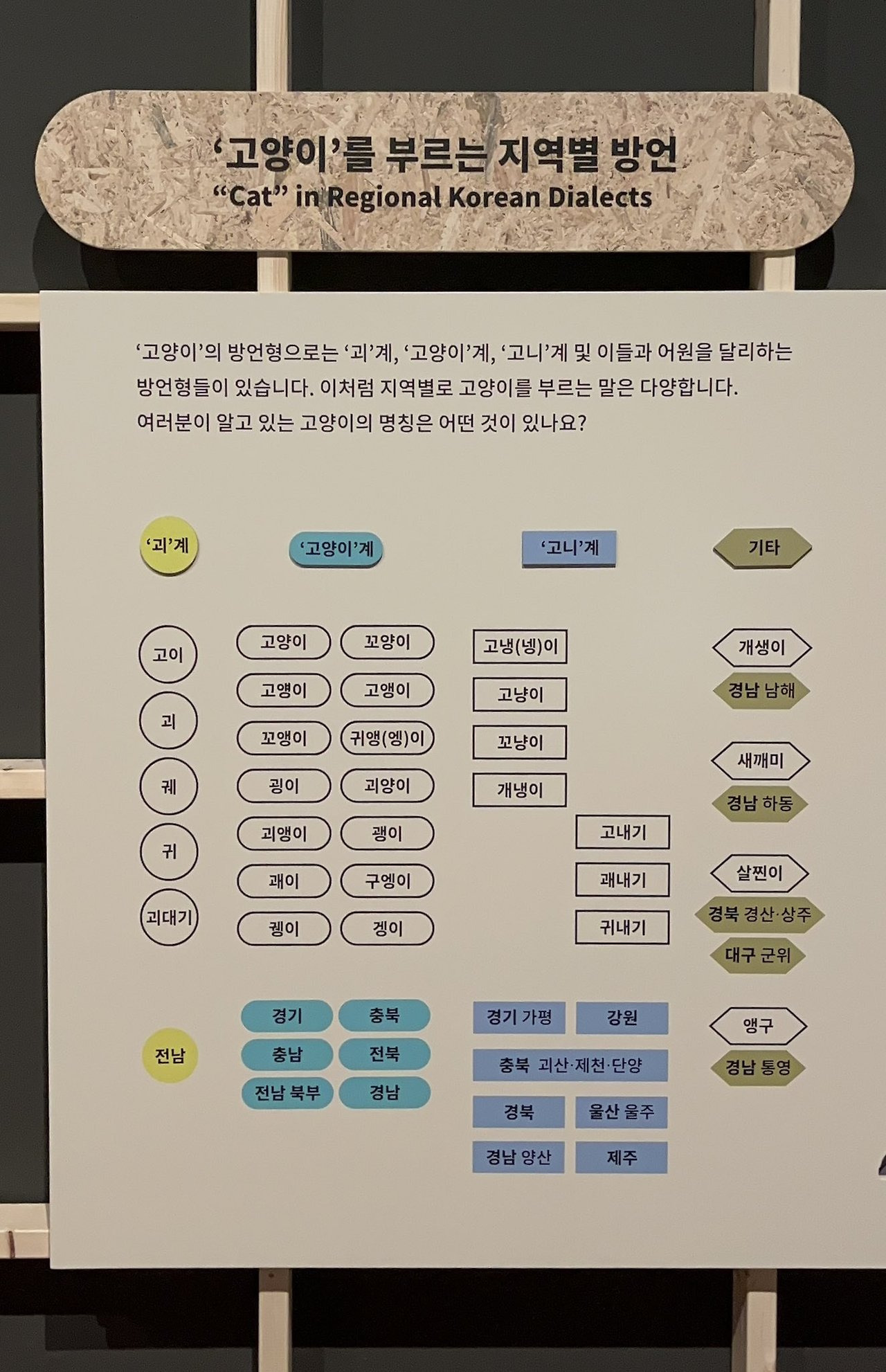 고양이를 부르는 지역별 방언 . cat | 인스티즈