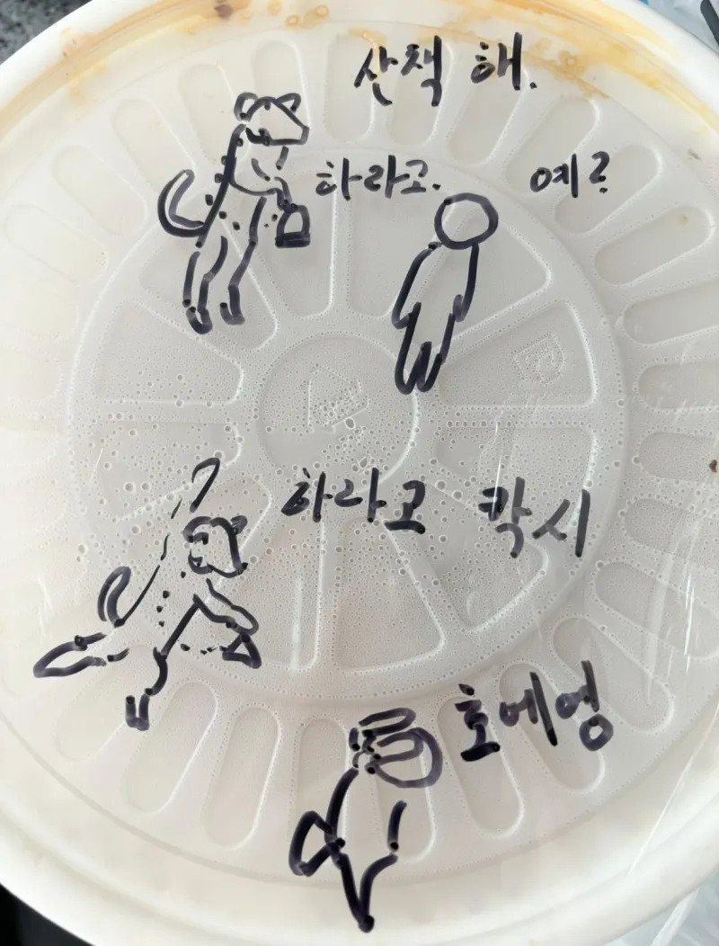 배민 배달시키면 사장님이 자꾸 그림 그려주심 | 인스티즈