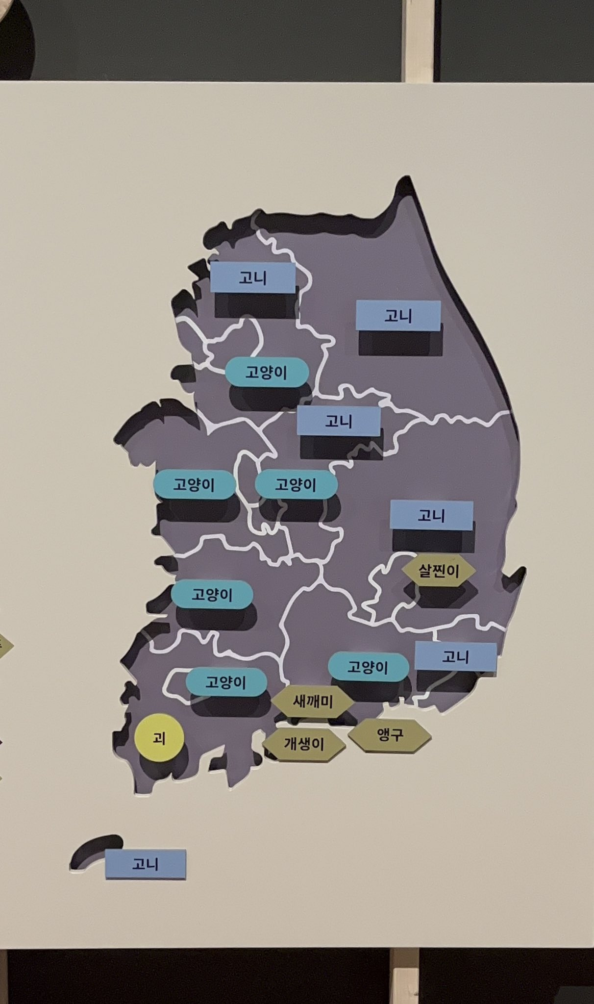  고양이를 부르는 지역별 방언 . cat1