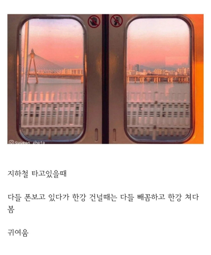 사실 서울사람들도 한강 좋아함 | 인스티즈
