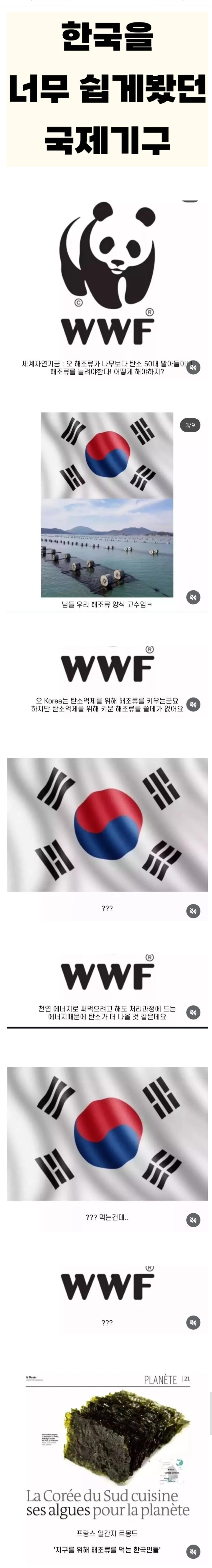 한국을 너무 쉽게봤던 국제기구 | 인스티즈