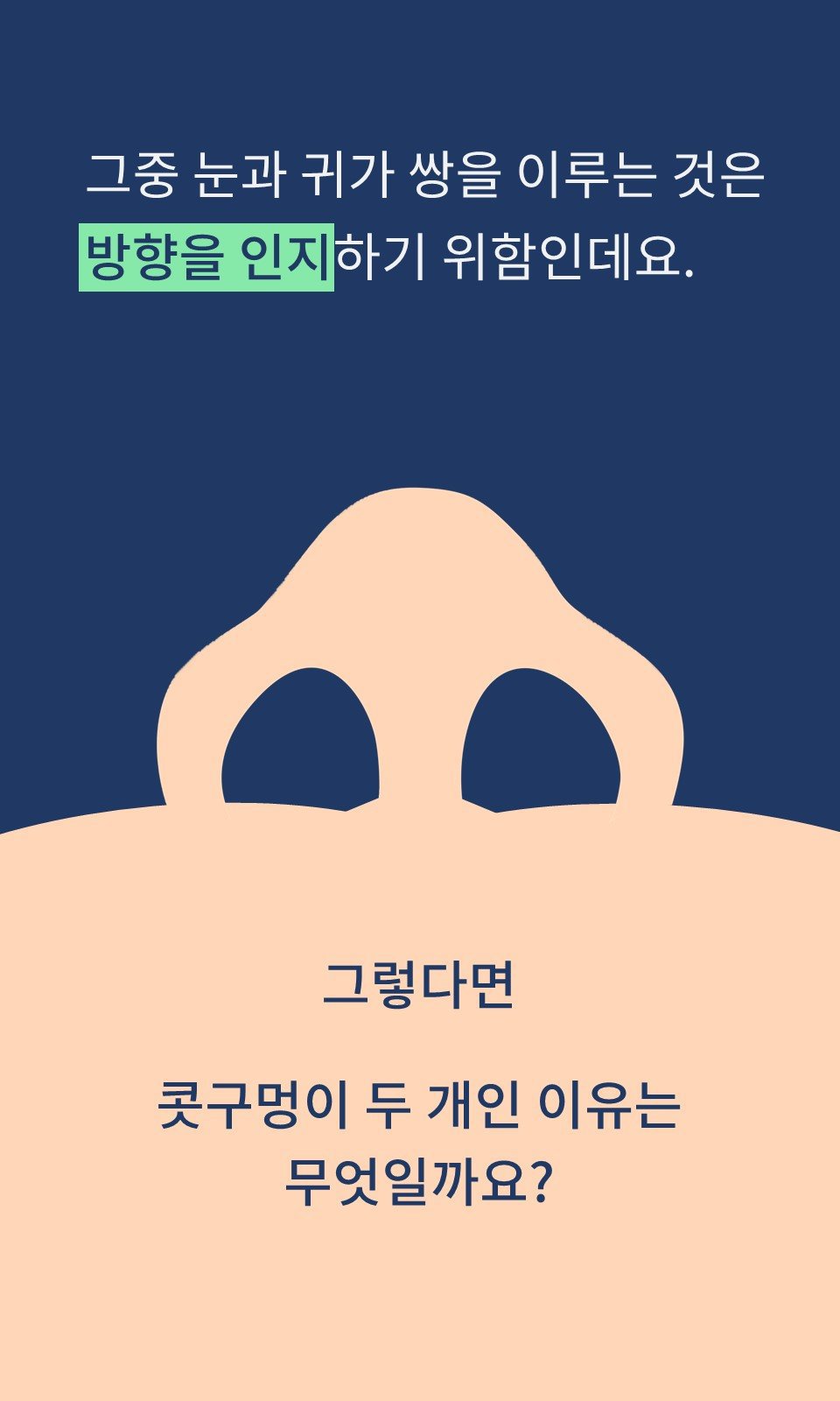 코에 숨겨진 비밀, 우리 코에 콧구멍이 2개인 이유는? | 인스티즈