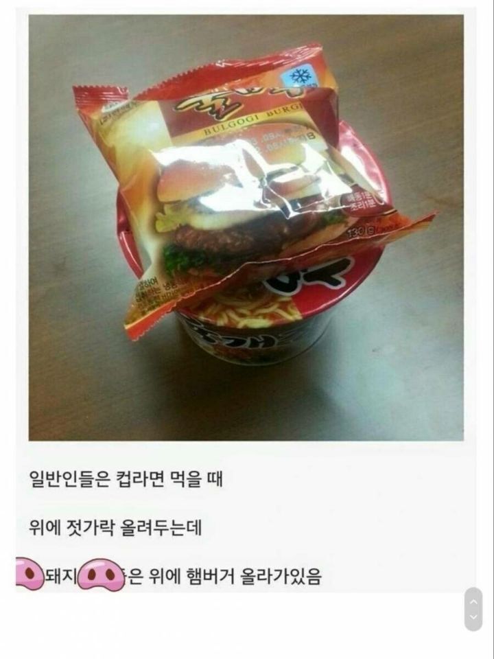  돼지들 컵라면 먹을때 특징.jpg