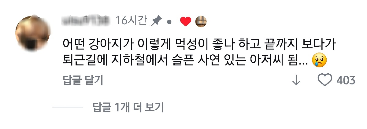 어떤 강아지가 이렇게 먹성이 좋나 하고 끝까지 보다가 | 인스티즈