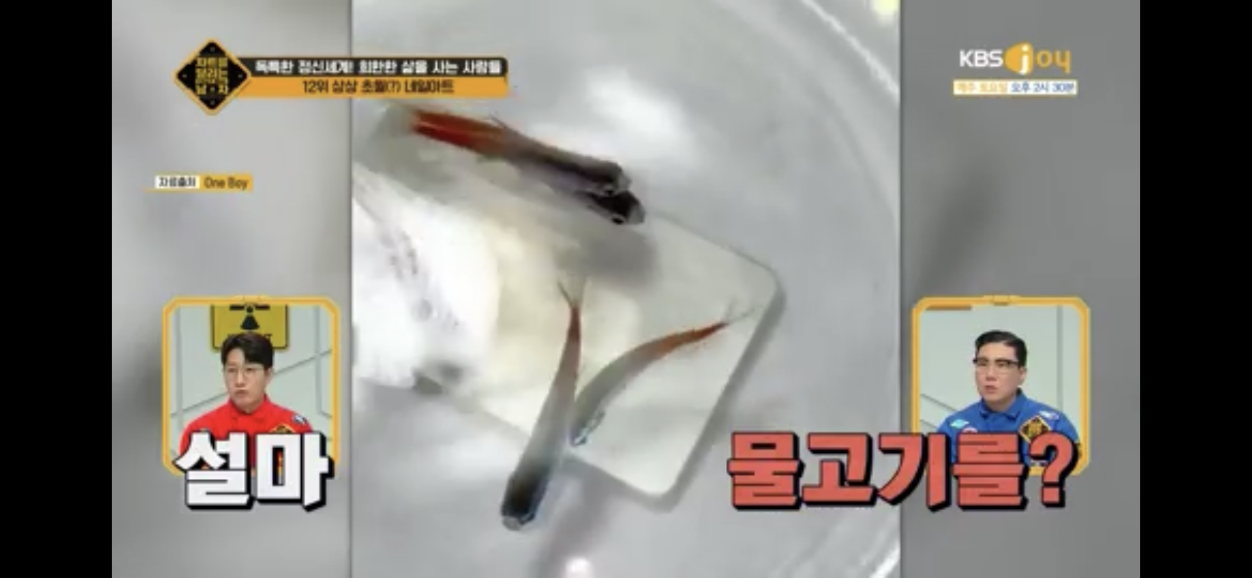 상상 초월 네일아트.jpg | 인스티즈