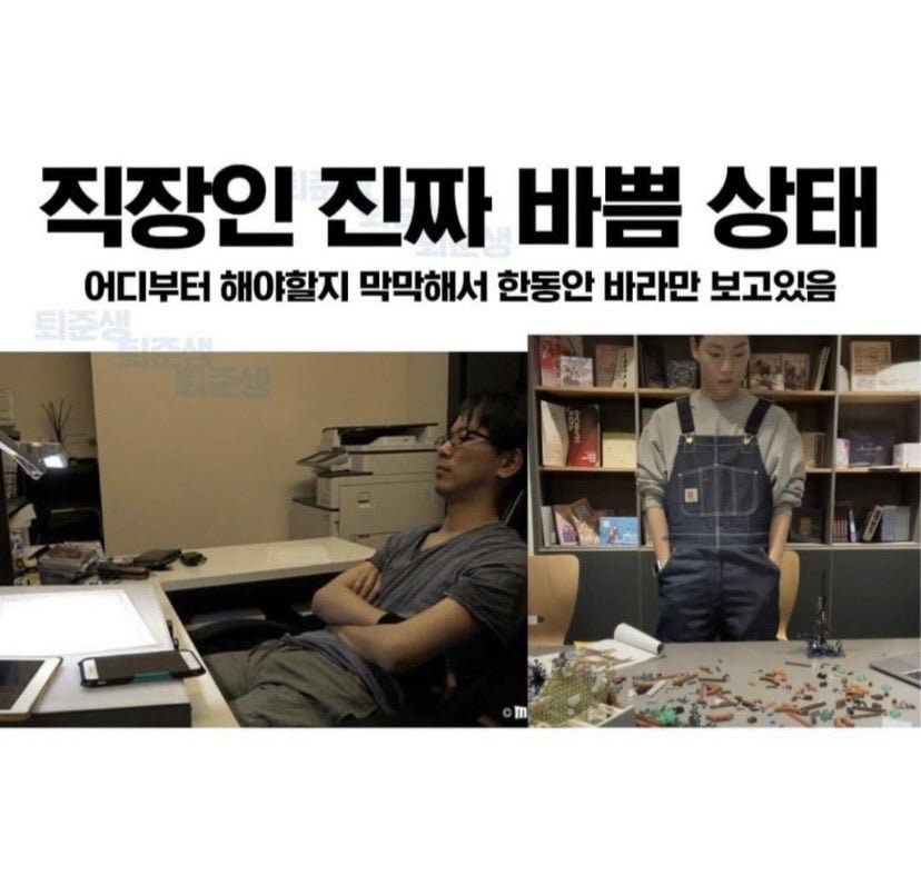 직장인 가짜 바쁨 vs 진짜 바쁨 | 인스티즈