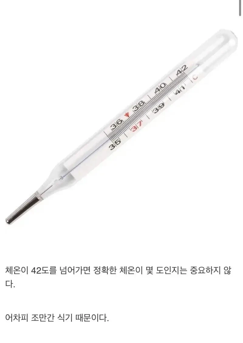  체온계가 42도밖에 못 재는 이유1