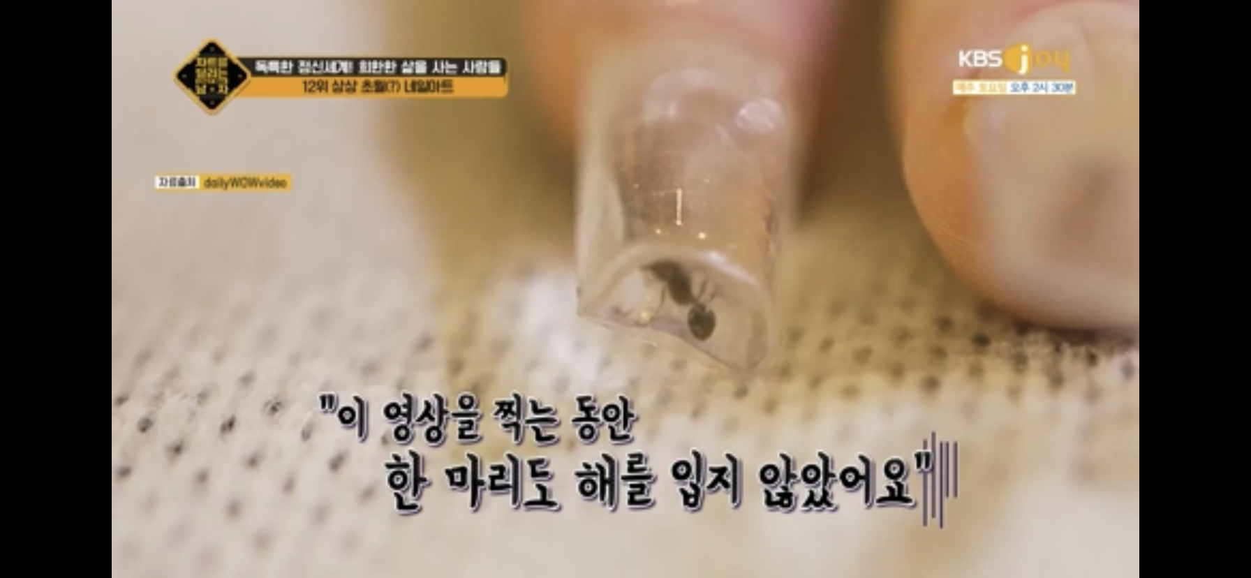상상 초월 네일아트.jpg | 인스티즈