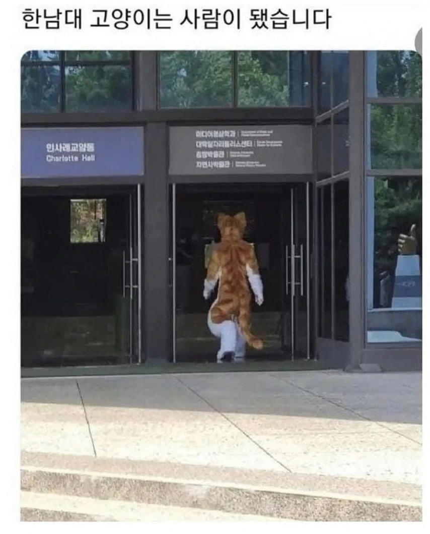 대학교 고양이 자랑 대회 | 인스티즈