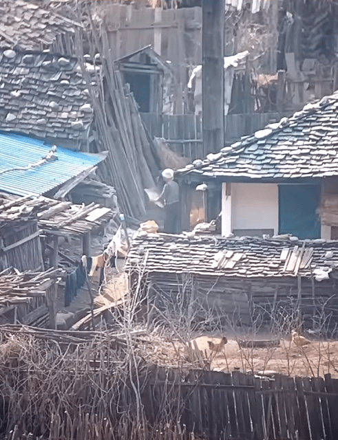 4월 13일 촬영한 북한 자강도의 국경지대 마을 | 인스티즈