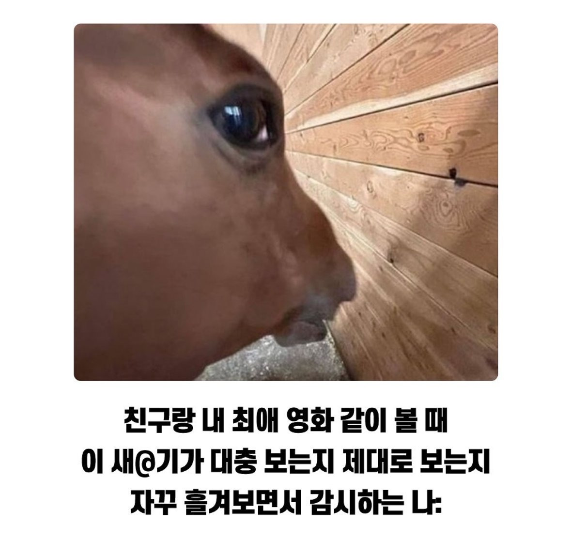  친구랑 내 최애 영화 같이 볼 때