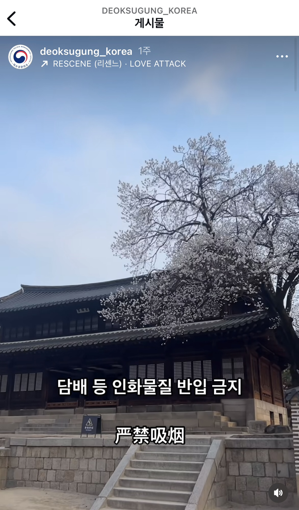 궁궐에서 지켜야 할 것(담배금지,도시락금지) | 인스티즈
