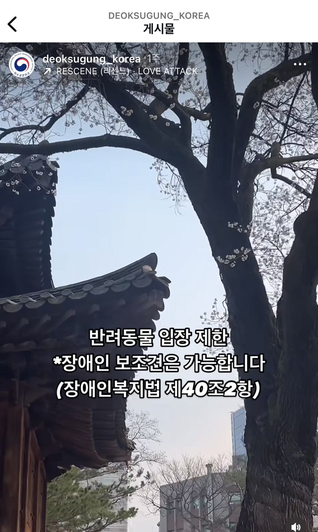 궁궐에서 지켜야 할 것(담배금지,도시락금지) | 인스티즈