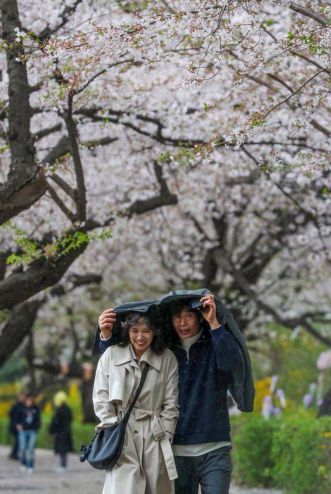 오늘자 잘 나왔다고 반응 좋은 일반인 기사 사진 | 인스티즈