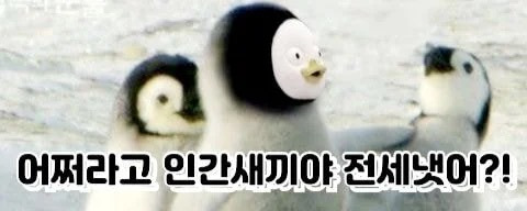 펭수 좋아하는 애들 인성 문제 | 인스티즈