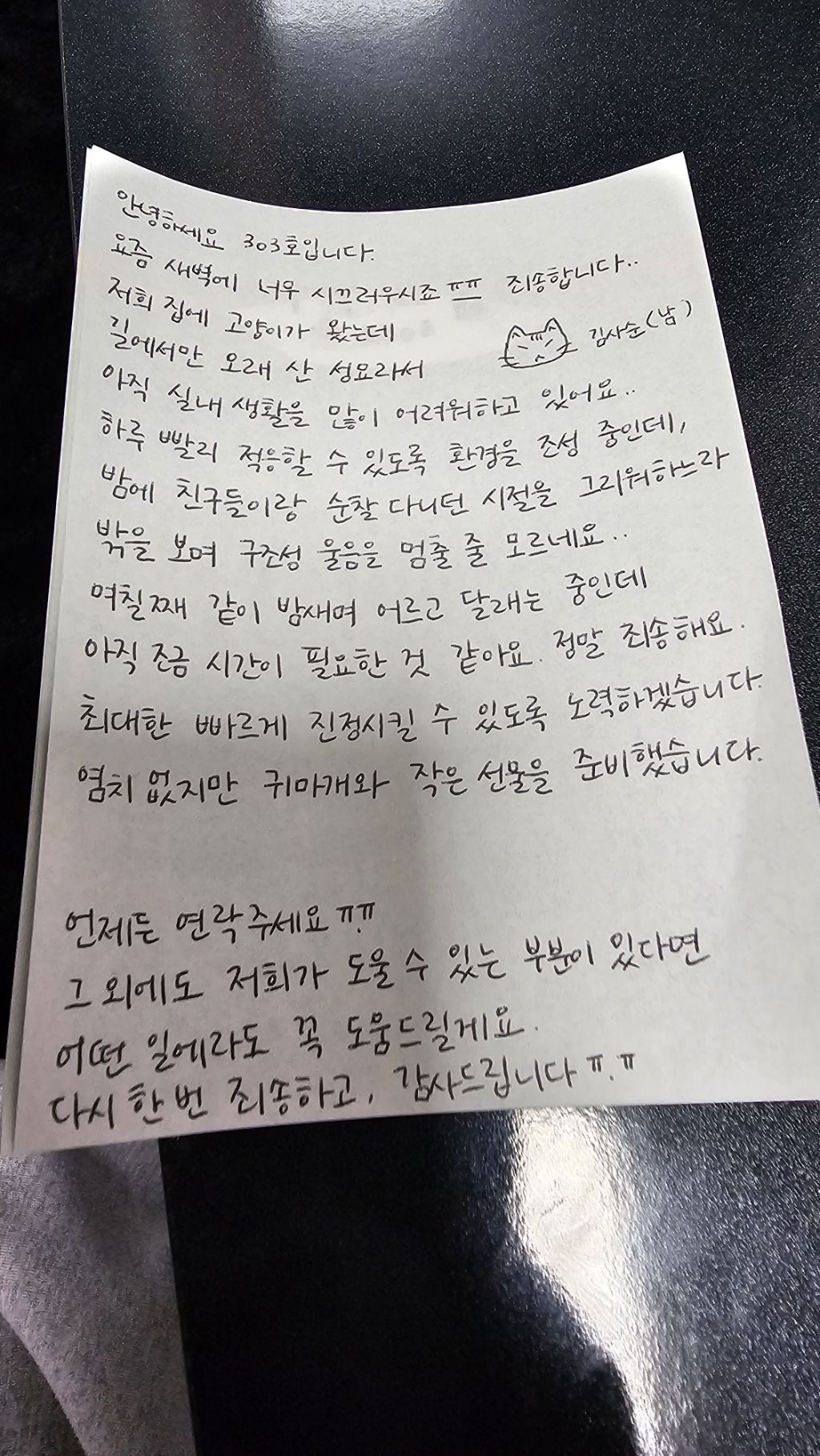  성묘 길냥이 입양했는데 아직 적응 못해서 새벽마다 진짜 시끄럽거든?2
