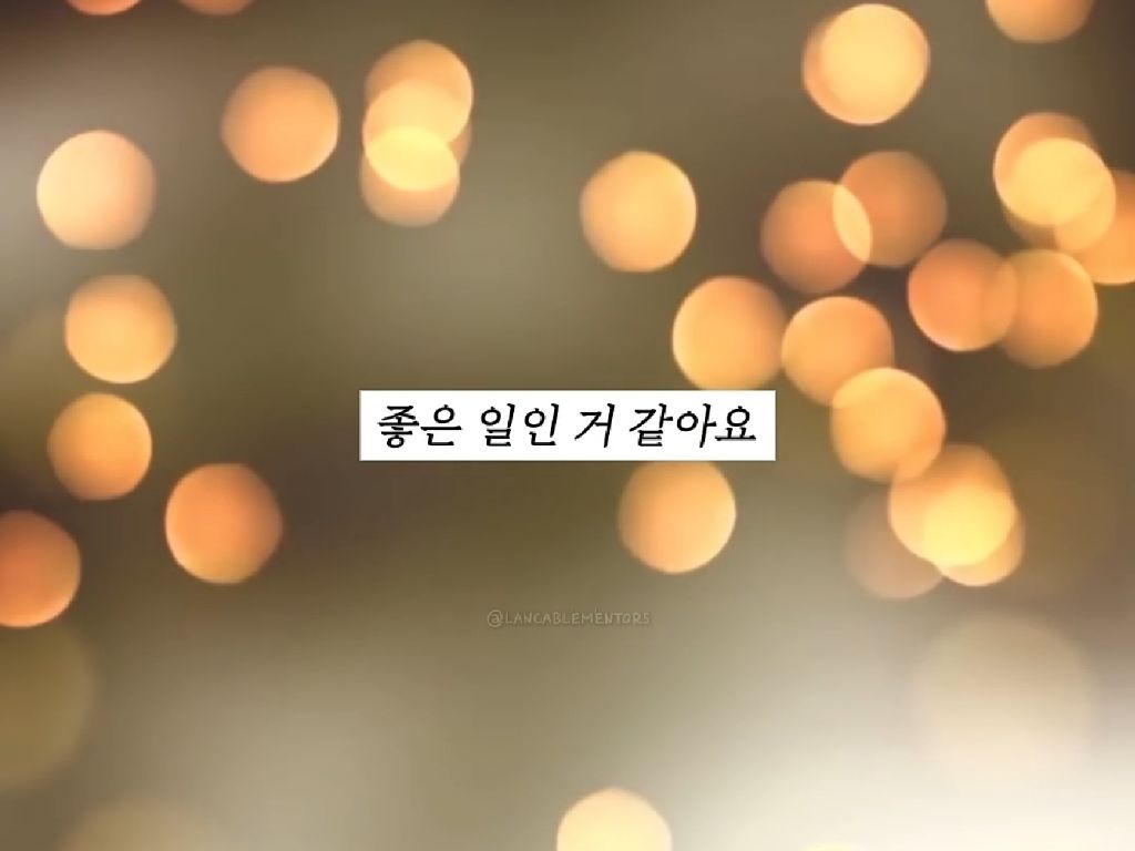 근거 없는 자신감(수학자 허준이) | 인스티즈