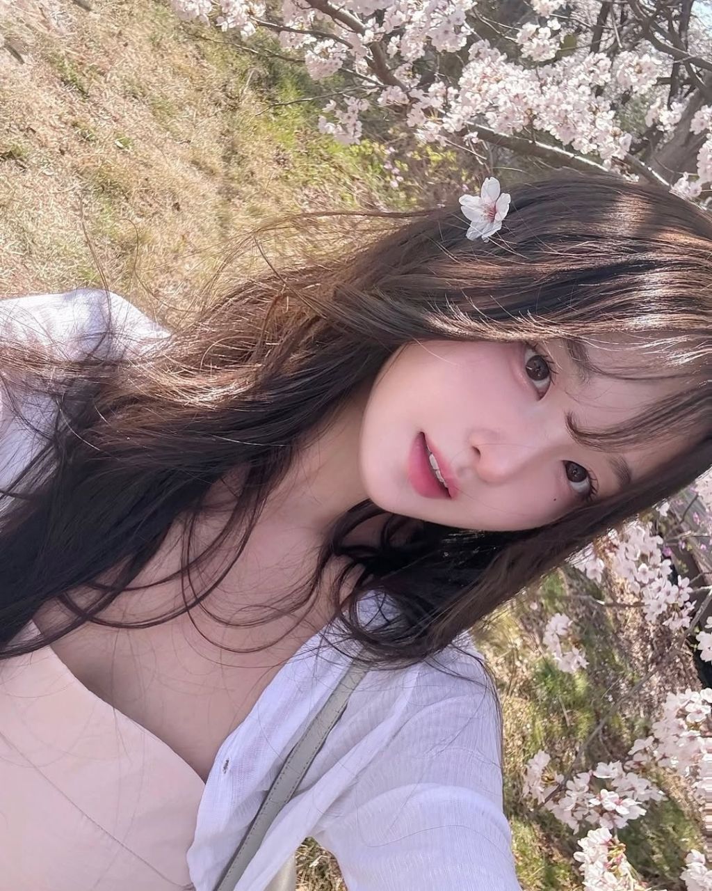  서울에서 자주 보이는 서타일