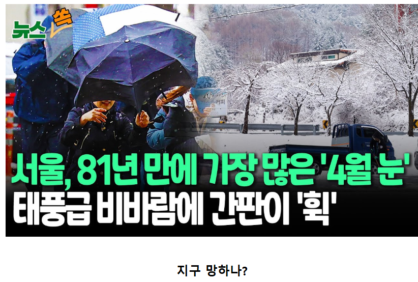 서울 81년 만에 가장 많은 4월 눈.JPG | 인스티즈