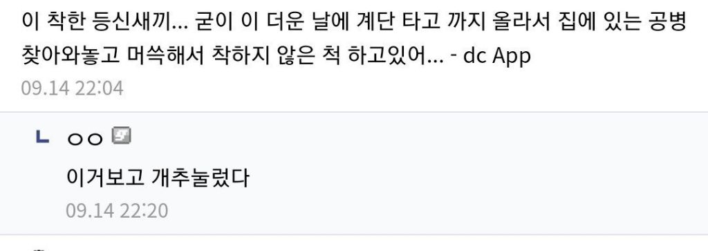 돈 안쓰고 위선떠는 방법 | 인스티즈
