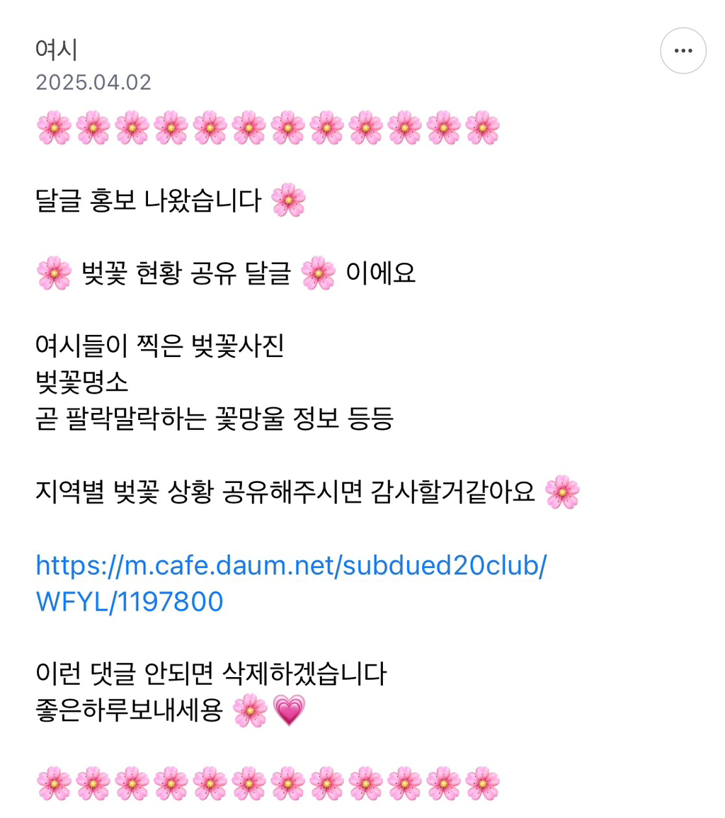  🌸벚꽃 현황 공유 달글🌸에서 꽃사진 공유하는 낭만 여시들...🌸🌸🌸🌸