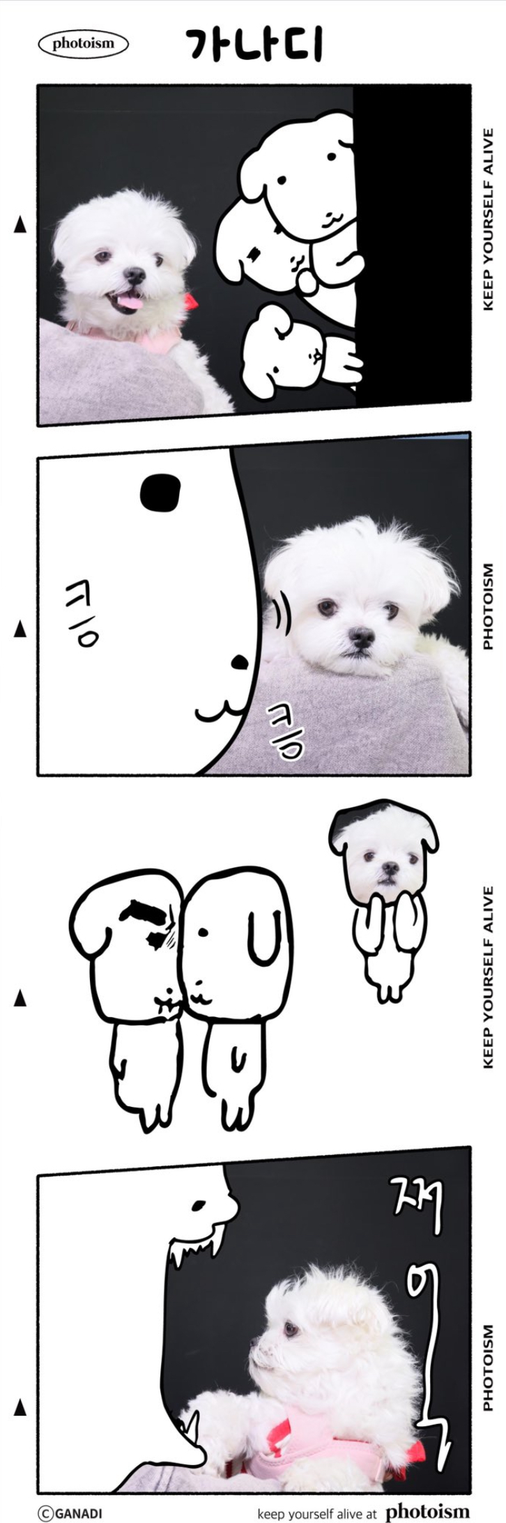 듀가나디 프레임 찍은 기여운 강아지 | 인스티즈