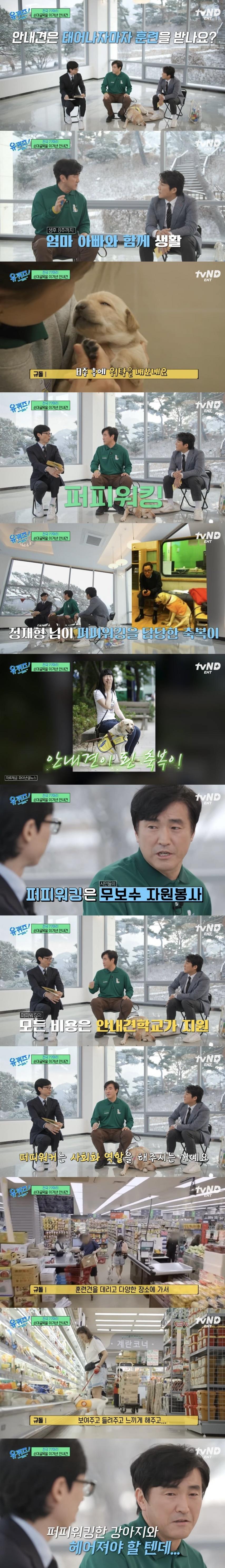안내견 훈련 과정 중 눈물바다가 되는 순간 | 인스티즈