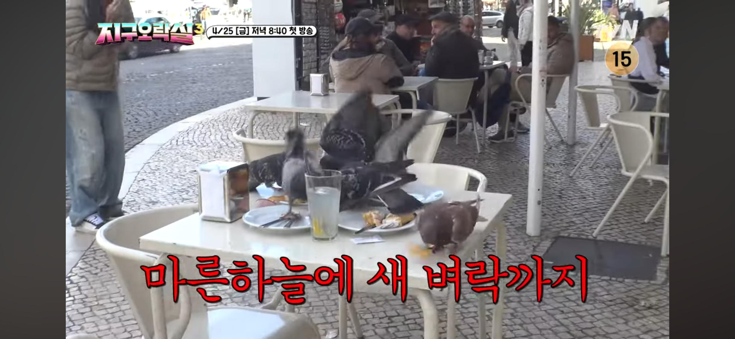 [지구오락실3] 폭싹시끄럽수다 | 인스티즈