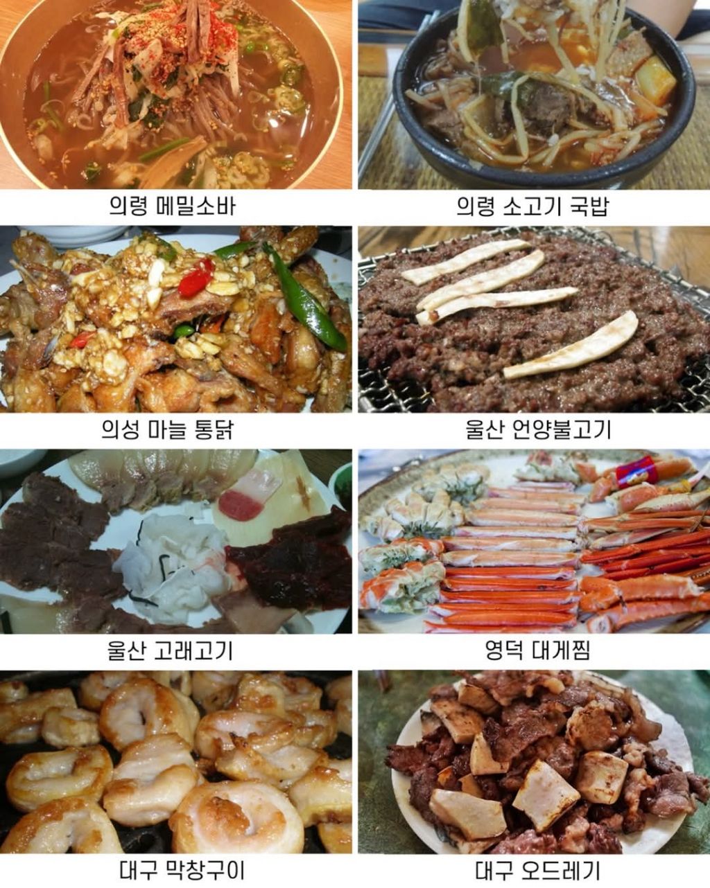한국에서 가장 음식 맛 좋은 지역은? | 인스티즈