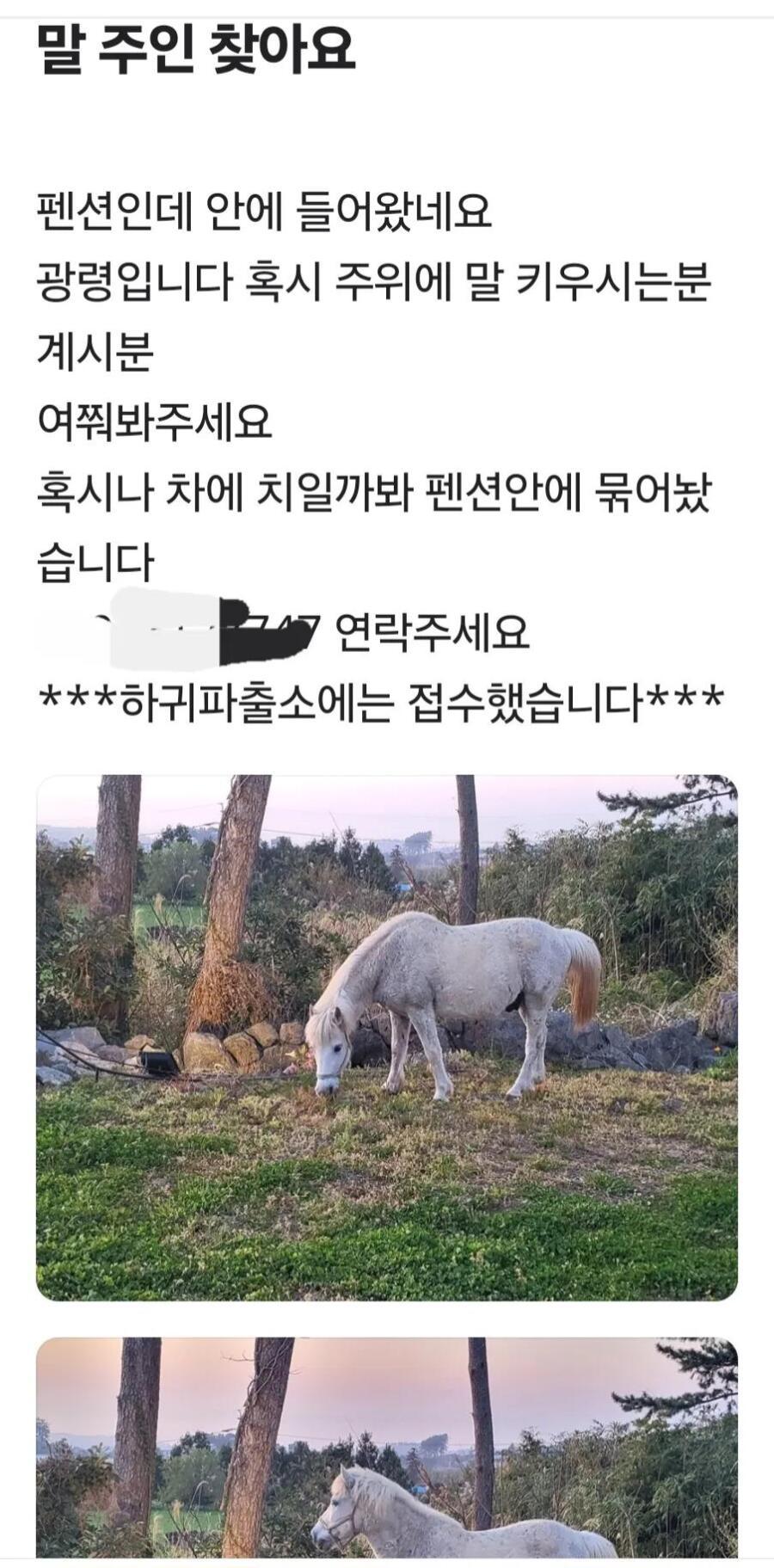  평범한 제주도의 일상