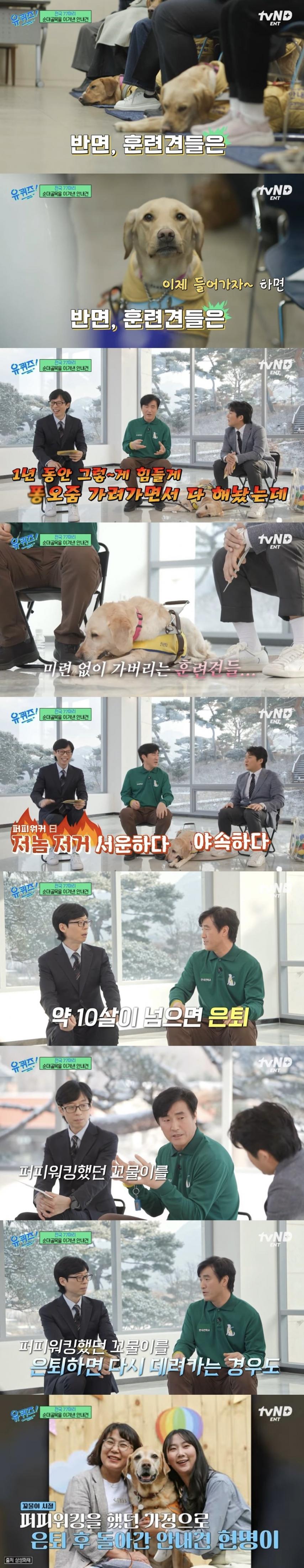 안내견 훈련 과정 중 눈물바다가 되는 순간 | 인스티즈